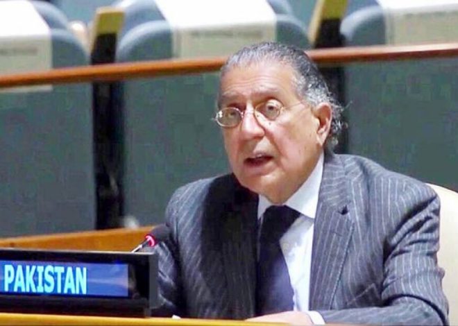 سلامتی کونسل غزہ میں جنگ بندی کی قرارداد پر عمل درآمد کو یقینی بنائے، اقوام متحدہ میں پاکستان کے مستقل مندوب کا جنرل اسمبلی سے خطاب